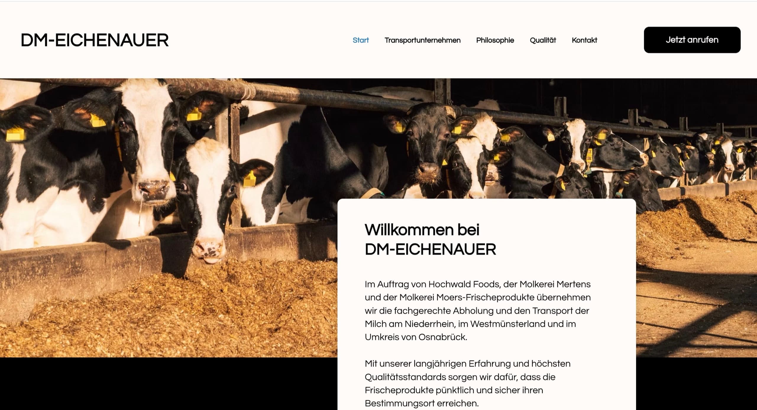 Screenshot der neuen Website von DM Eichenauer