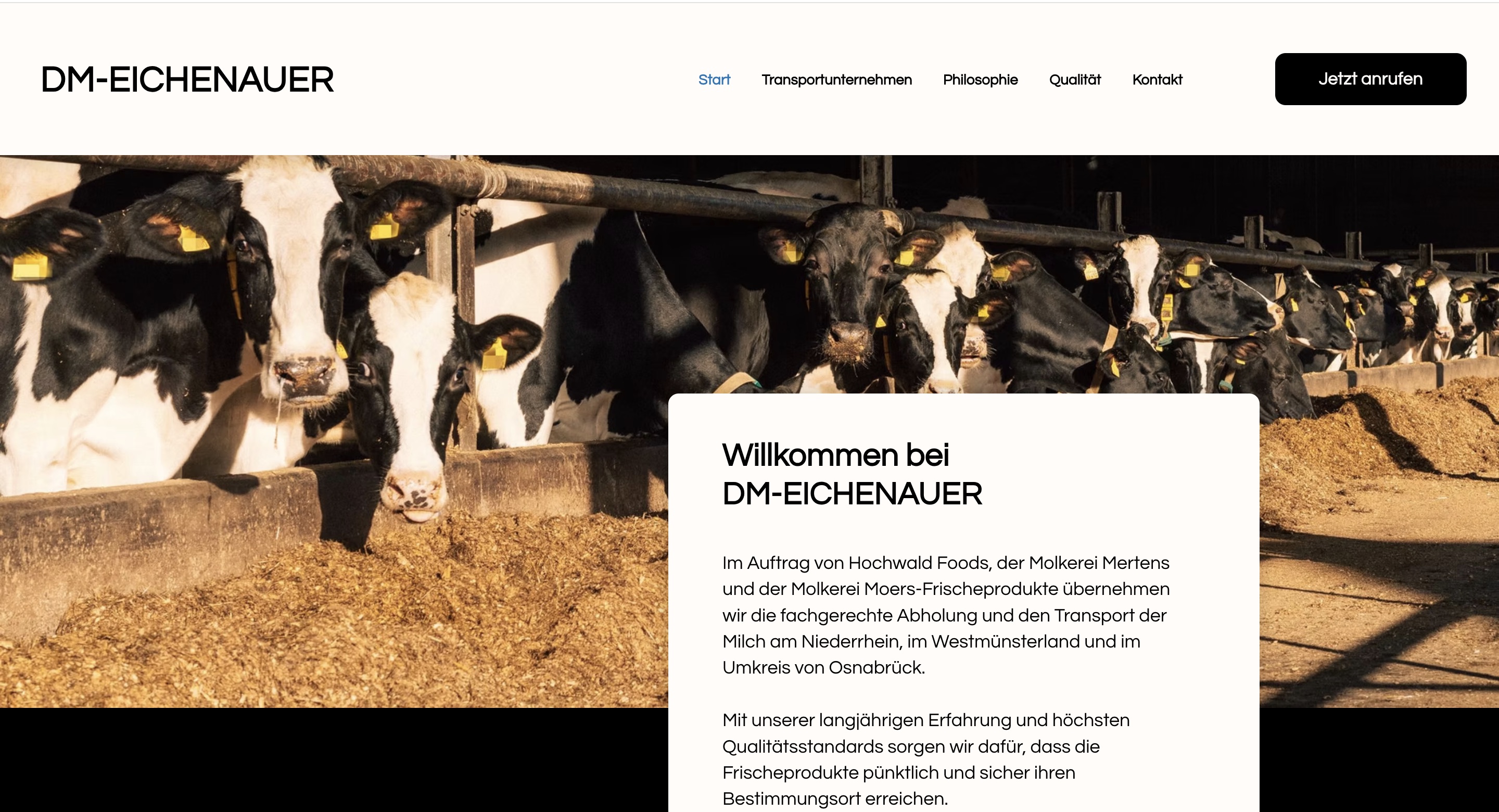 Screenshot der neuen Website von DM Eichenauer